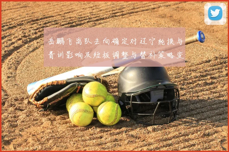 岳鹏飞离队去向确定对辽宁轮换与青训影响及短板调整与替补策略变化
