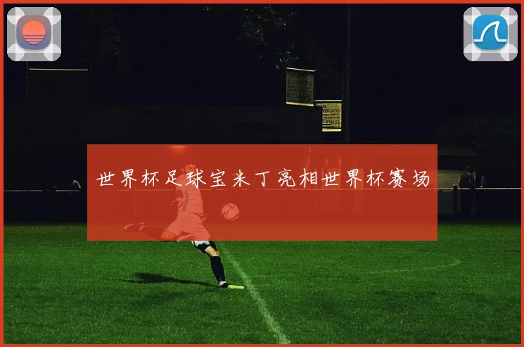 世界杯足球宝米丁亮相世界杯赛场