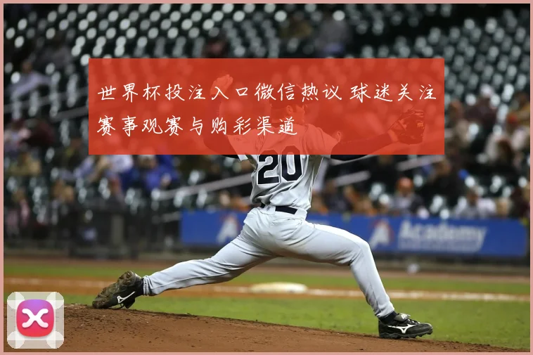 世界杯投注入口微信热议 球迷关注赛事观赛与购彩渠道