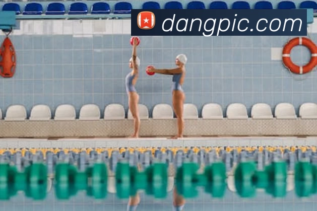 完美体育在线登录入口(中国) - 官方网站平台生态图